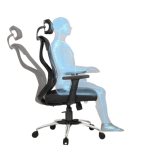 Task Chair with Lumbar Support