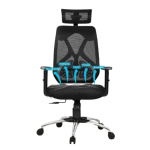 Task Chair with Lumbar Support