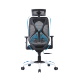 Ergonomic Mesh Chair