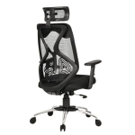 Task Chair with Lumbar Support