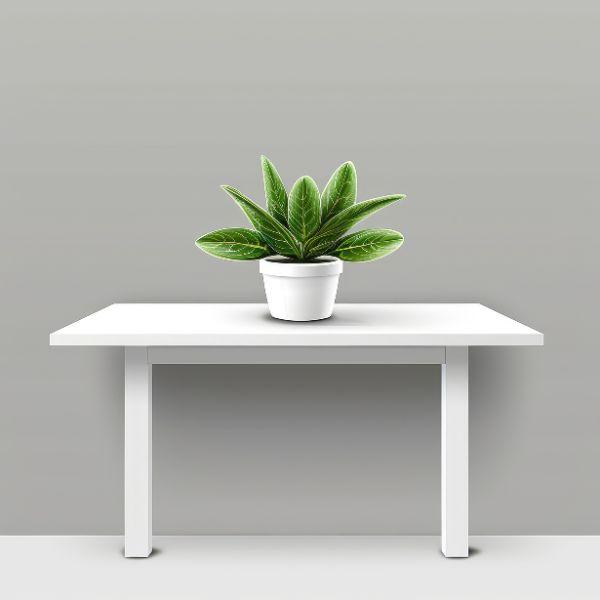 Floating Wall-Mount Table